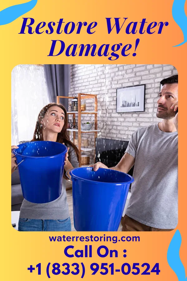 water restoration Best Water Cleanup Network Woodlawn