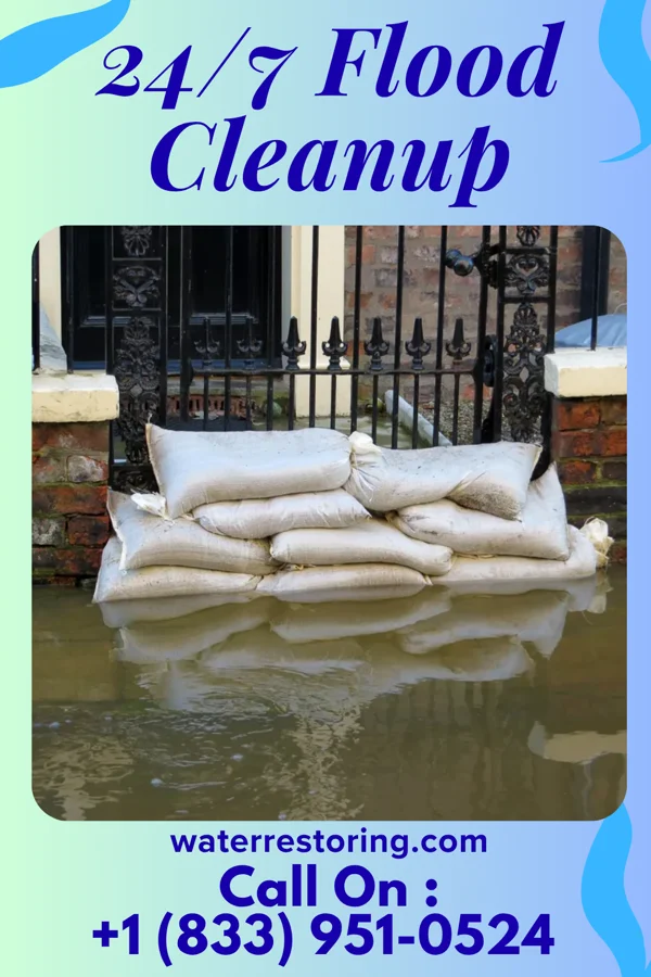24/7 Flood Cleanup in Woodlawn, NC