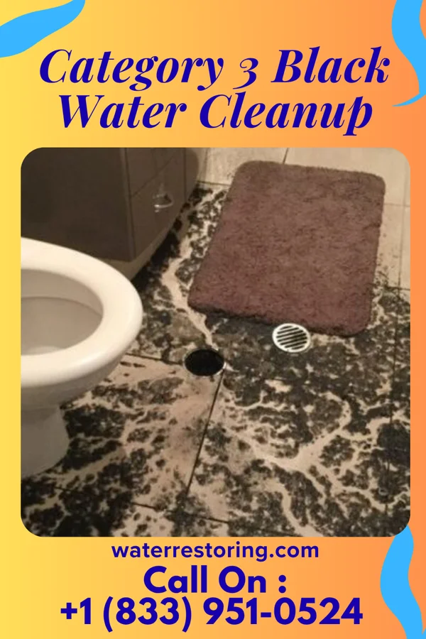 Category 3 Black Water Cleanup in Woodlawn, NC