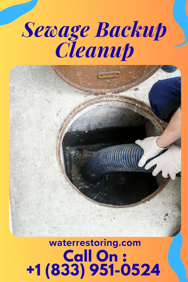 Sewage Backup Cleanup in Woodlawn, NC