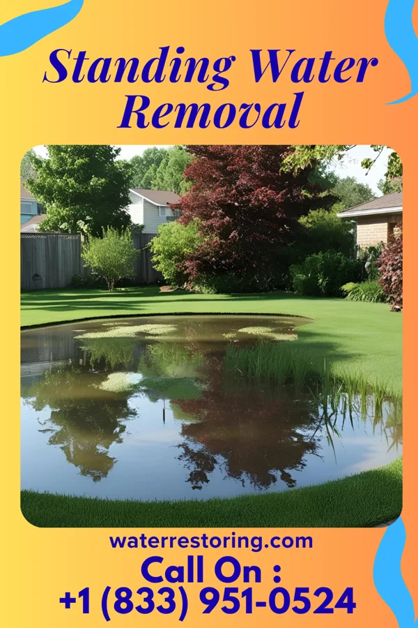 Standing Water Removal in Woodlawn, NC